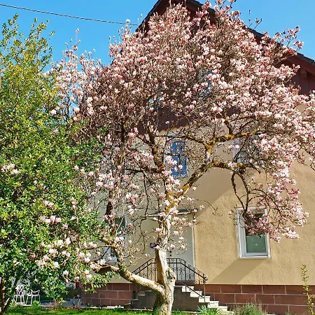 Apartmán Liebevoll Gaestewohnungen *