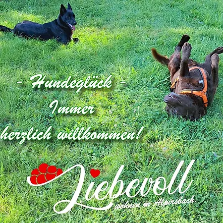 Liebevoll Gaestewohnungen Alpirsbach